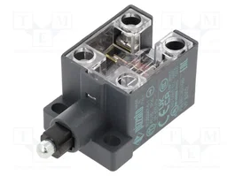 PIZZATO ELETTRICA Interruptor de fin de carrera con émbolo de metal NC x2
