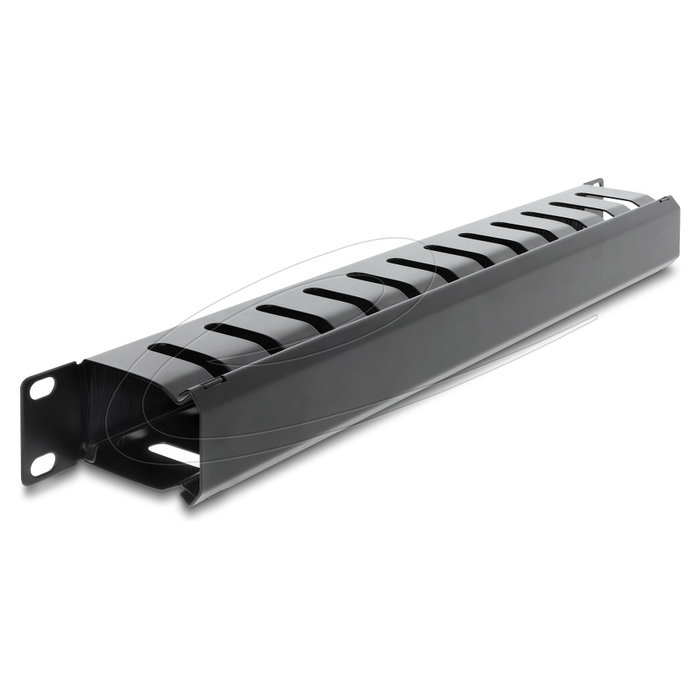 DeLOCK 67628 Panel de gestión de cables con cepillo 1U negro