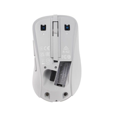 ASUS MD102 Ratón Inalámbrico Blanco