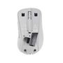 ASUS MD102 Ratón Inalámbrico Blanco