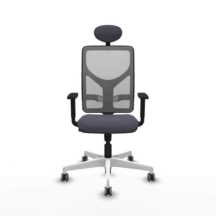 PIQUERAS Y CRESPO Silla de oficina Motilla con mecanismo Sincro, Gris PIQUERAS Y CRESPO Silla de oficina Motilla con mecanismo Sincro, Gris