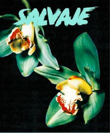 Revista salvaje 28, VV.AA. - REVISTA SALVAJE