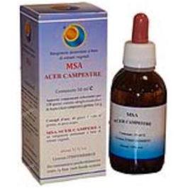 HERBOPLANET Acer Campestre Yemas 50Ml