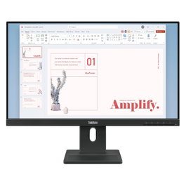 Lenovo ThinkVision E24-40 Monitor de Negocios FHD 100Hz Negro