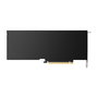 PNY Quadro RTX 4500 Ada 24GB GDDR6 VR Ready - Tarjeta Gráfica Profesional, NVIDIA RTX A4500, 7680 CUDA Cores, PCIe 4.0 x16, 4x DisplayPort 1.4a, 210W