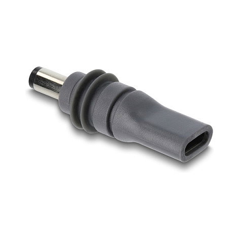 DeLOCK Adaptador USB Type-C™ a DC 5,5 x 2,1 mm para Starlink Mini, gris