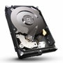 Seagate ST250DM000 Disco Duro Interno HDD 250 GB SATA 3.5 pulg 7200 RPM