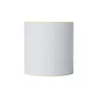 Brother Caja de 8 rollos de etiquetas continuas 102 mm x 56,4 m Blanco