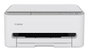 Canon PIXMA TS4151i Gris