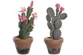 DKD Home Decor Planta Cactus Surtido Verde y Rosa