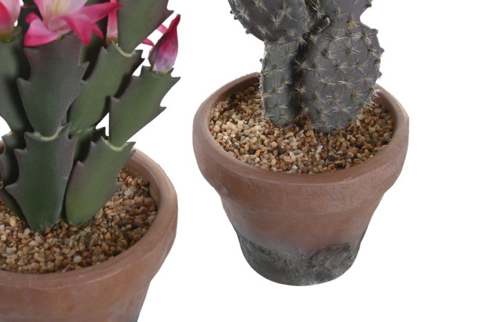 DKD Home Decor Planta Cactus Surtido Verde y Rosa