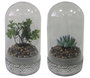 DKD Home Decor Planta PE Cristal 12x12x18 Surtido de 2