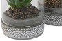 DKD Home Decor Planta Gris 12x18x12 cm (4 Unidades)