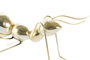 DKD Home Decor Figura de Hormiga en Resina y Metal Dorado, Surtido de 2