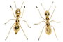 DKD Home Decor Figura de Hormiga en Resina y Metal Dorado, Surtido de 2