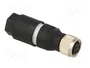 LAPP Conector M8 hembra de 4 pines recto IDC