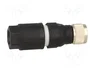 LAPP Conector M8 hembra de 4 pines recto IDC