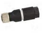 LAPP Conector M8 hembra de 4 pines recto IDC