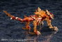 Arcanadea Maqueta Plastic Model Kit XenoAlma Blaze Ophis 26 cm