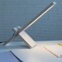 Delamp Lámpara de Mesa Madera Abedul LED Regulable Blanco Cálido DBO-DELAMP