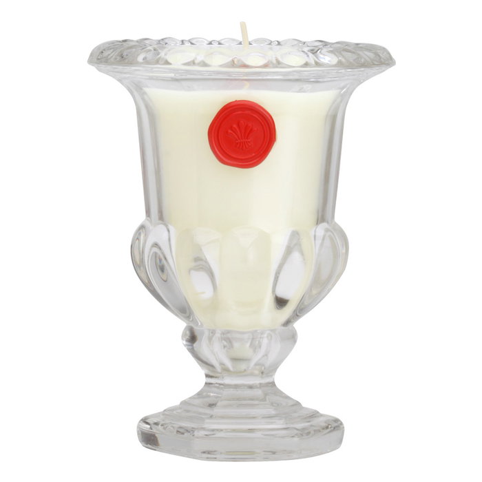 Home Deco Factory Vela Perfumada Medicis en Jarrón de Vidrio Aroma Peonía 14 cm