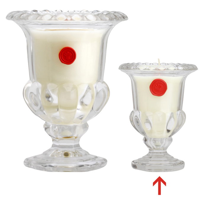 Home Deco Factory Vela Perfumada Medicis en Jarrón de Vidrio Aroma Peonía 14 cm