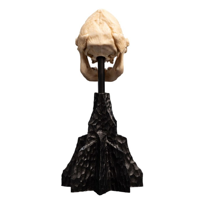El Señor de los Anillos Estatua Skull of Lurtz 14 cm