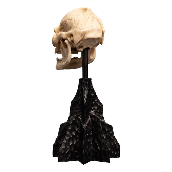 El Señor de los Anillos Estatua Skull of Lurtz 14 cm