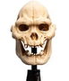 El Señor de los Anillos Estatua Skull of Lurtz 14 cm