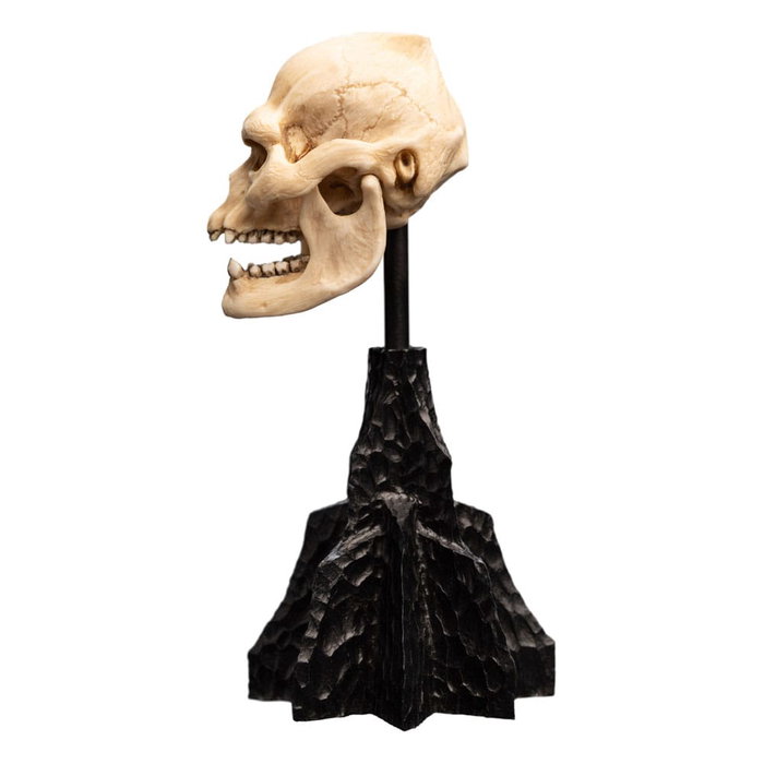El Señor de los Anillos Estatua Skull of Lurtz 14 cm