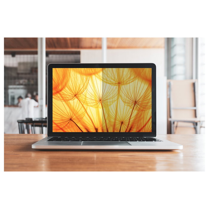 3M Filtro de Privacidad BP156W9B para Notebooks de 15.6" 16:9 3M Filtro de Privacidad BP156W9B para Notebooks de 15.6" 16:9