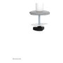Neomounts DS60-425WH1 Brazo de Monitor de Escritorio Ajustable para Pantallas 17-27" (43.2-68.6 cm), con VESA 100x100, Carga 8 kg, Color Blanco