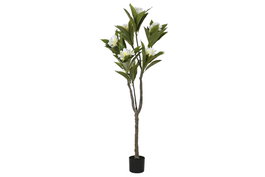 DKD Home Decor Árbol PE Frangipani Flor Tahití Blanco