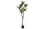DKD Home Decor Árbol PE Frangipani Flor Tahití Blanco