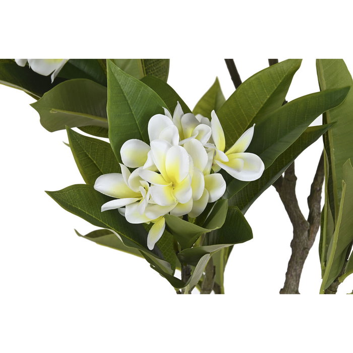 DKD Home Decor Árbol PE Frangipani Flor Tahití Blanco
