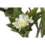 DKD Home Decor Árbol PE Frangipani Flor Tahití Blanco