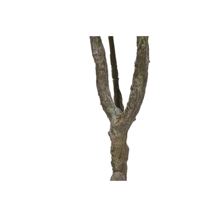 DKD Home Decor Árbol PE Frangipani Flor Tahití Blanco
