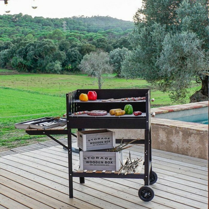 DKD Home Decor Barbacoa de Acero Negro 113x51x97 cm