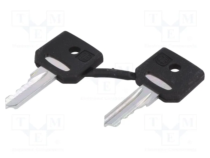 SCHNEIDER ELECTRIC Interruptor rotativo con llave Harmony XB5 22mm Negro