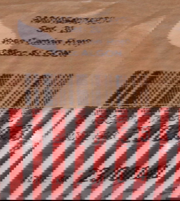 Algon Set-20 Vaso Carton Rojo 220 cc (20 Unidades)