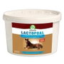 Audevard Lactofoal Leche Maternizada para Potros 2,2 kg