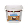 Audevard Lactofoal Leche Maternizada para Potros 2,2 kg