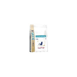 Royal Canin Pienso Hipoalergénico para Gato 2,5 kg