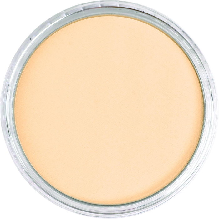 Panpastel 280.8 Tinte Naranja Panpastel 280.8 Tinte Naranja