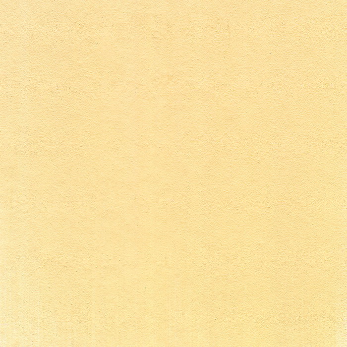 Panpastel 280.8 Tinte Naranja Panpastel 280.8 Tinte Naranja