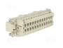 HARTING Han E® Conector de Plantilla de Contacto Macho 24+PE