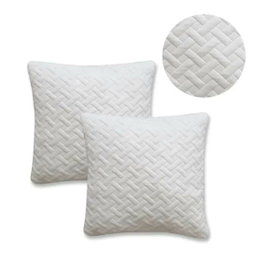 Today Juego de 2 almohadas viscoelásticas 60x60 cm