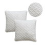 Today Juego de 2 almohadas viscoelásticas 60x60 cm