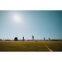 Samyang AF 14-24mm F2.8 L L-Mount Schneider Kreuznach