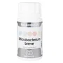 EQUISALUD Microbiota Bifidobacterium breve 60 cápsulas